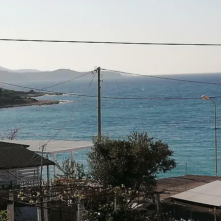Elton Zote Ksamil 2